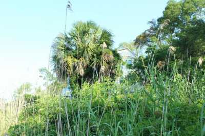 Residential Land For Sale in Niceville, Florida