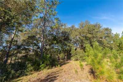 Residential Land For Sale in Silver Springs, Florida