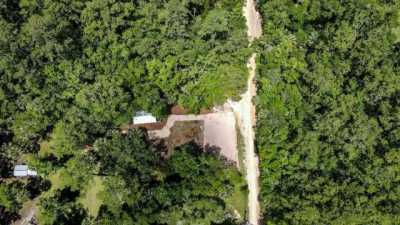 Residential Land For Sale in Steinhatchee, Florida