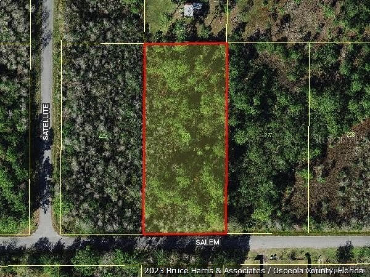 Picture of Residential Land For Sale in Saint Cloud, Florida, United States