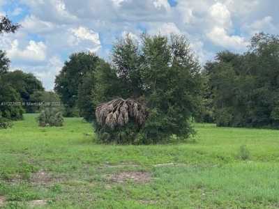 Residential Land For Sale in Groveland, Florida