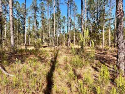 Residential Land For Sale in Pace, Florida