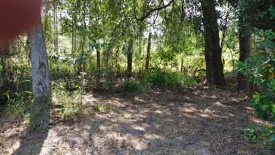 Residential Land For Sale in Umatilla, Florida