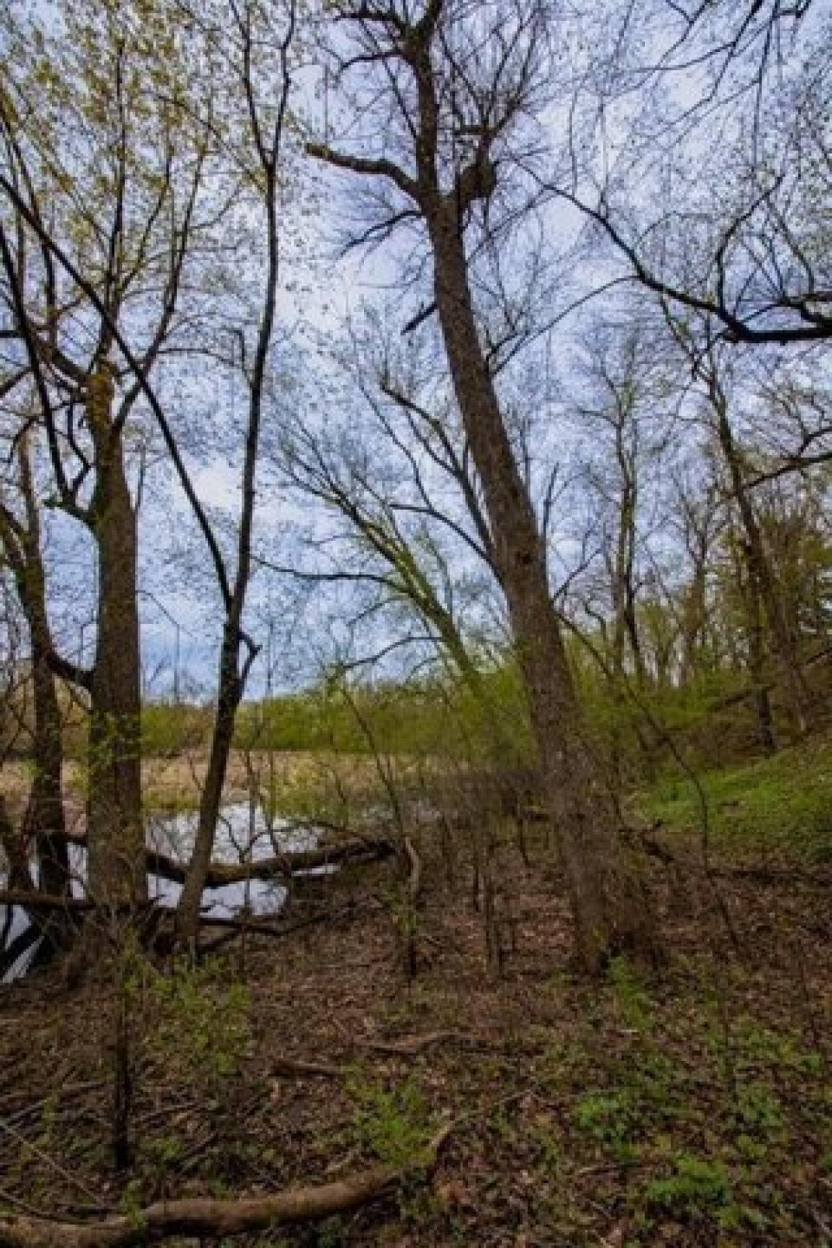 Picture of Home For Sale in Andover, Minnesota, United States