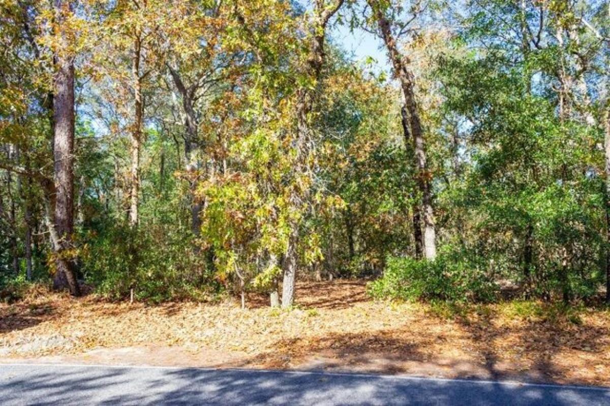 Picture of Residential Land For Sale in Blackshear, Georgia, United States