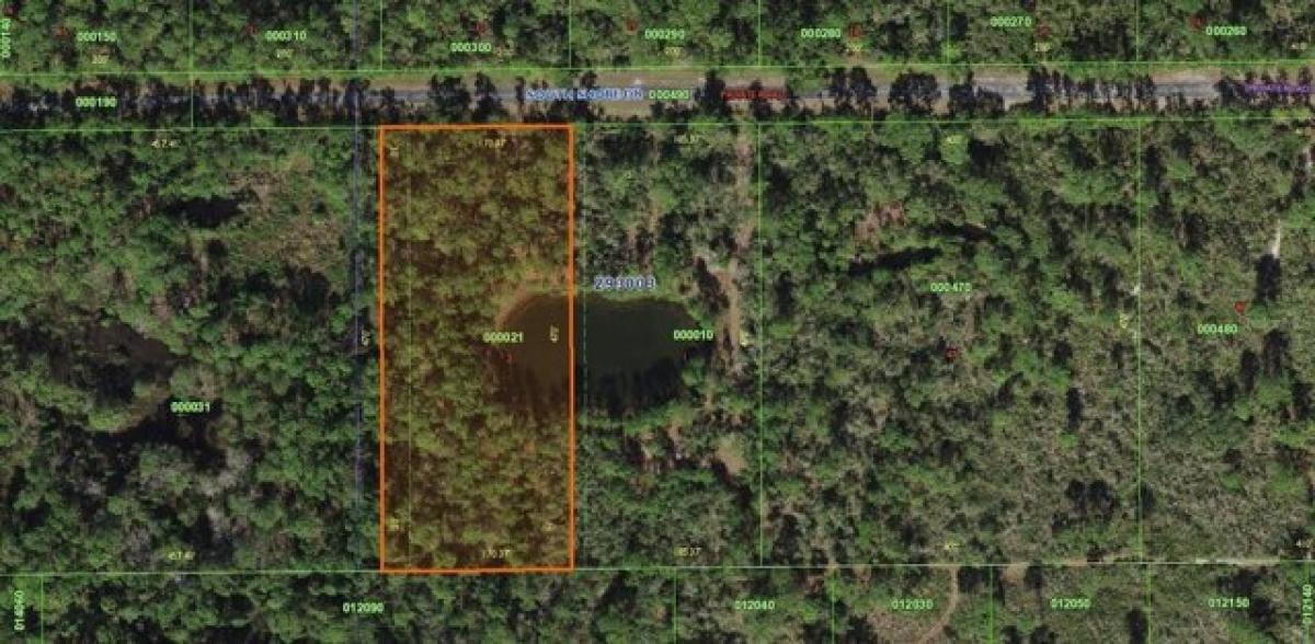 Picture of Residential Land For Sale in Lake Wales, Florida, United States