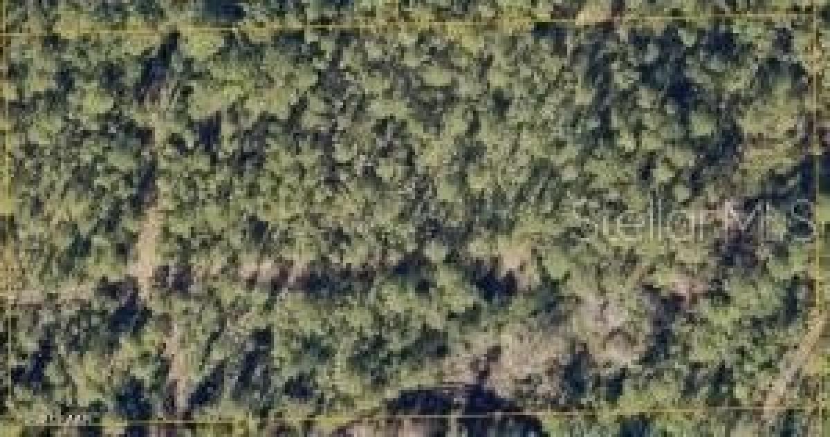 Picture of Residential Land For Sale in Deltona, Florida, United States