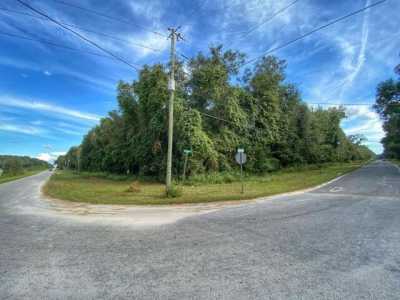 Residential Land For Sale in Trenton, Florida