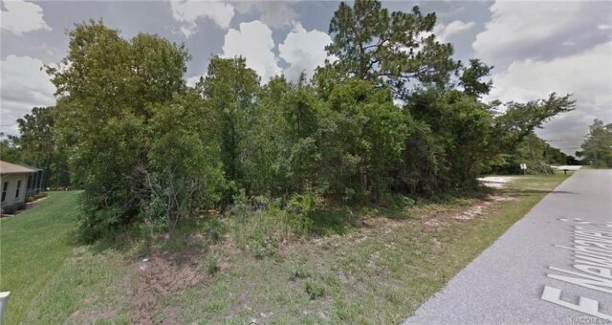 Picture of Residential Land For Sale in Inverness, Florida, United States