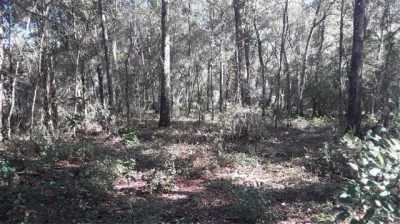 Residential Land For Sale in Silver Springs, Florida