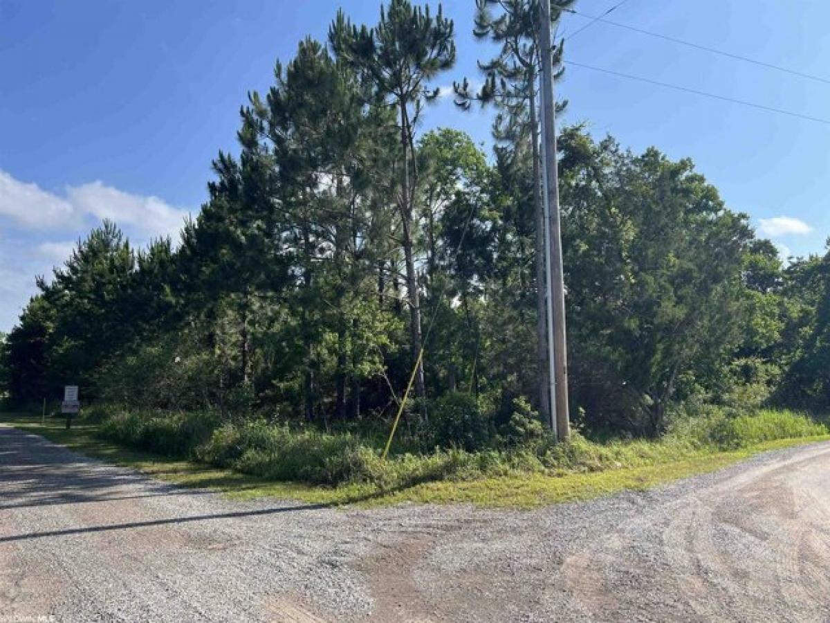 Picture of Residential Land For Sale in Gulf Shores, Alabama, United States