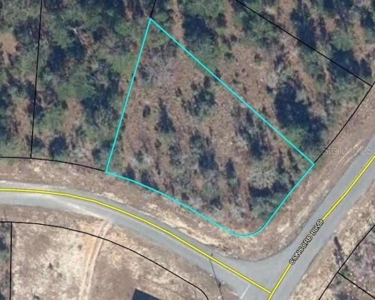 Picture of Residential Land For Sale in Chipley, Florida, United States