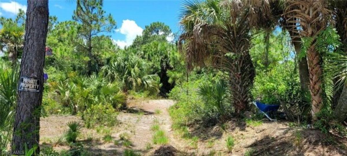 Picture of Residential Land For Sale in Clewiston, Florida, United States