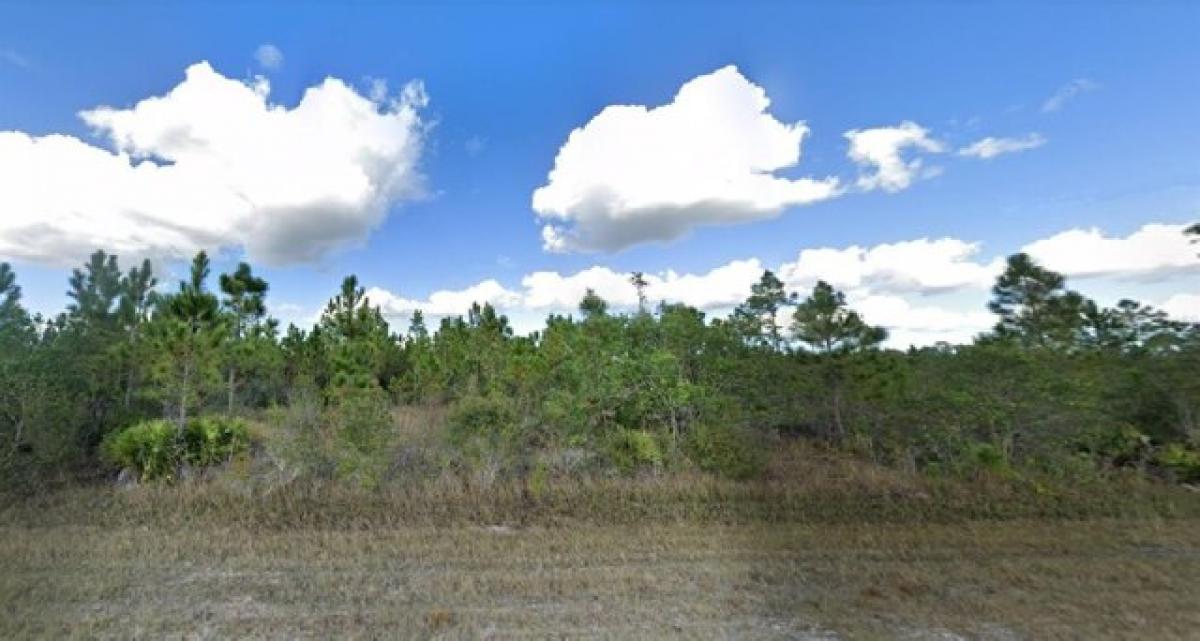 Picture of Residential Land For Sale in Indian Lake Estates, Florida, United States