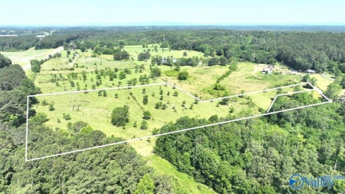 Picture of Residential Land For Sale in Centre, Alabama, United States