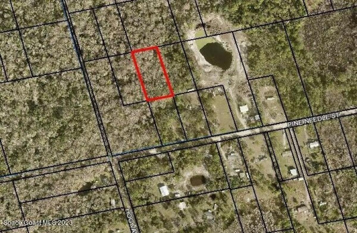 Picture of Residential Land For Sale in Mims, Florida, United States