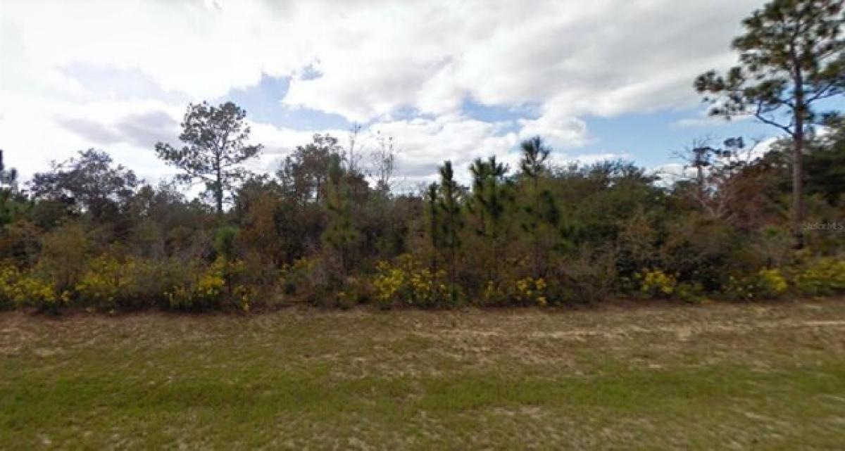 Picture of Residential Land For Sale in Chipley, Florida, United States