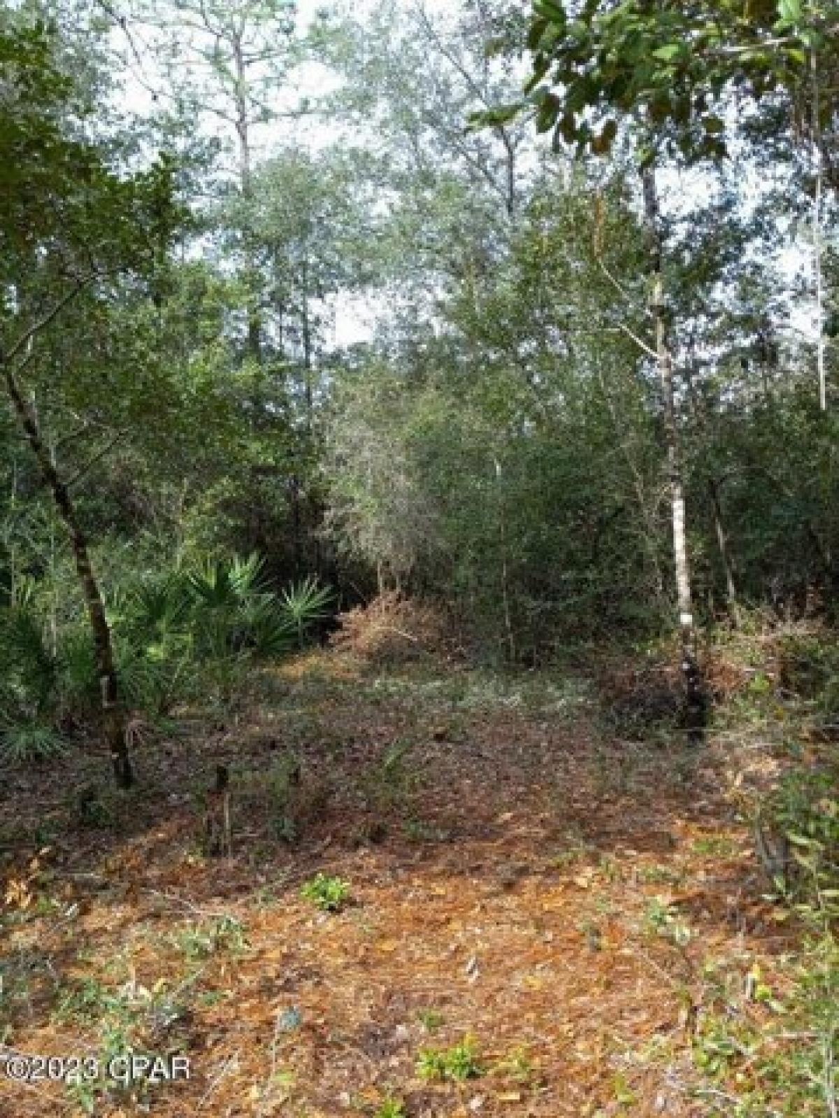 Picture of Residential Land For Sale in Fountain, Florida, United States