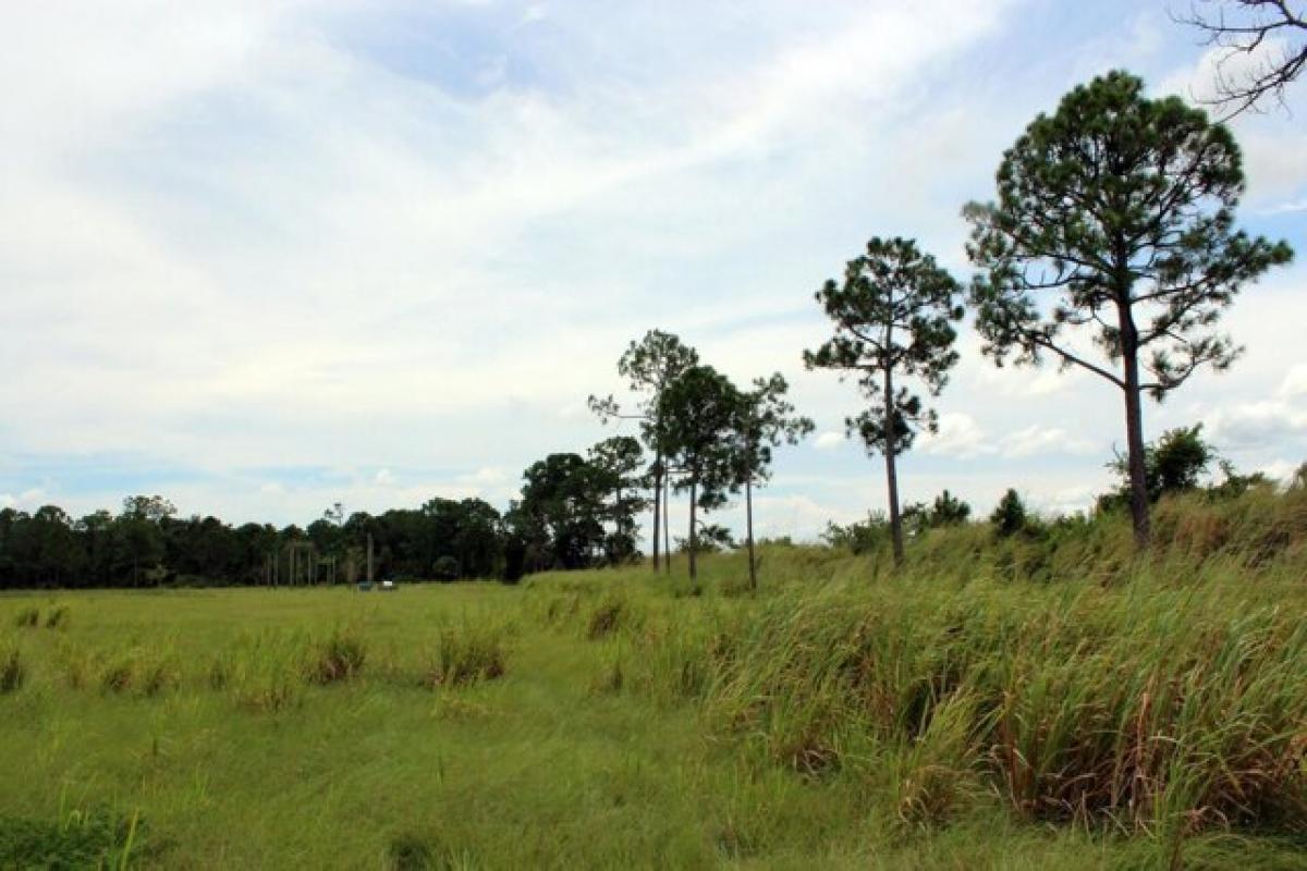 Picture of Residential Land For Sale in Fort Pierce, Florida, United States