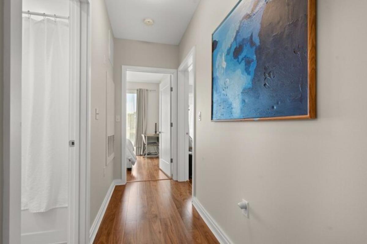 Picture of Home For Rent in Jamaica Plain, Massachusetts, United States