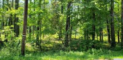 Residential Land For Sale in Cairo, New York