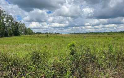 Residential Land For Sale in Live Oak, Florida