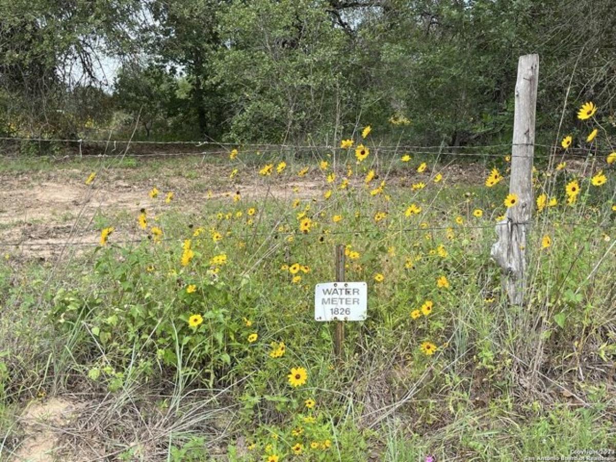 Picture of Residential Land For Sale in Natalia, Texas, United States