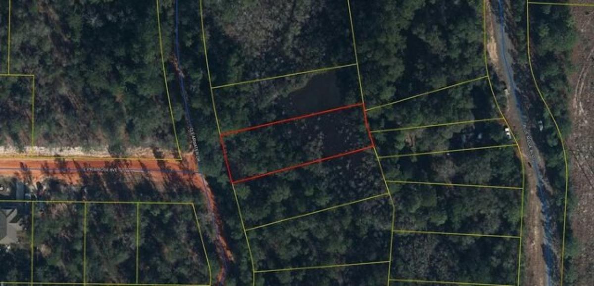 Picture of Residential Land For Sale in Defuniak Springs, Florida, United States