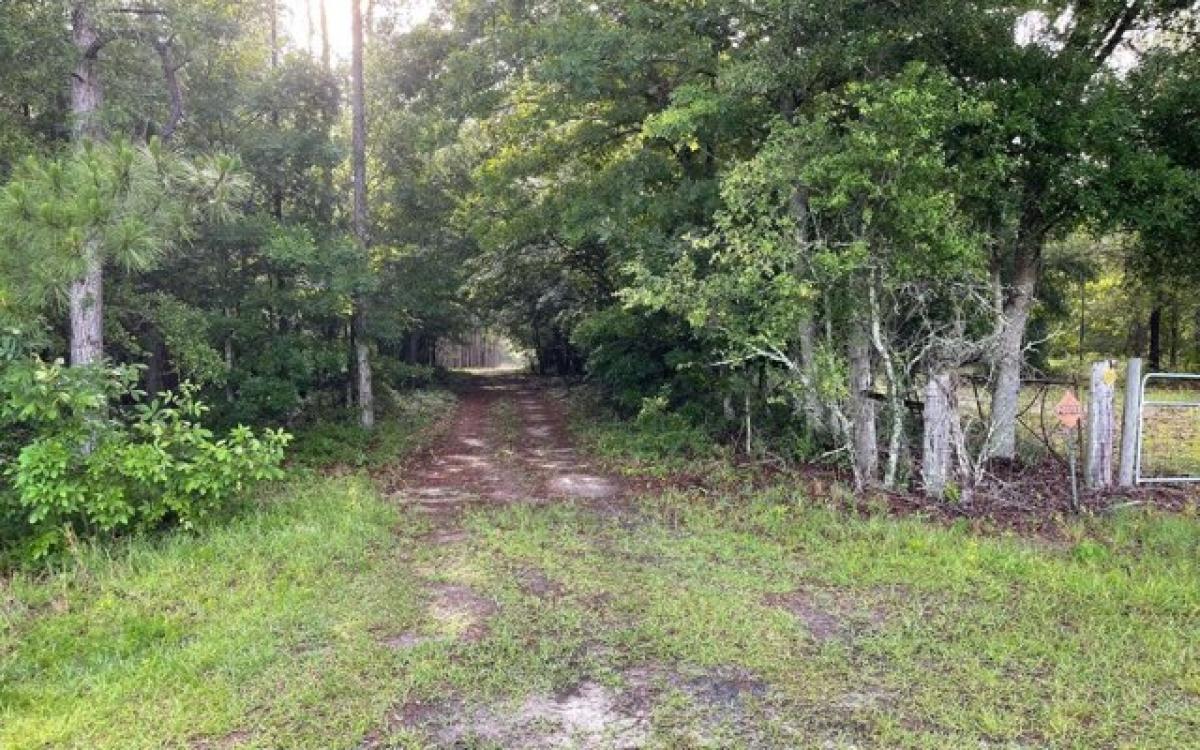 Picture of Residential Land For Sale in Jennings, Florida, United States