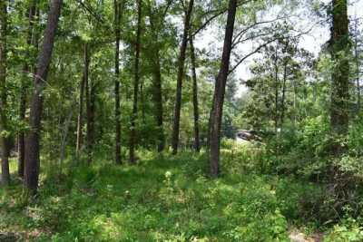 Residential Land For Sale in Goodrich, Texas