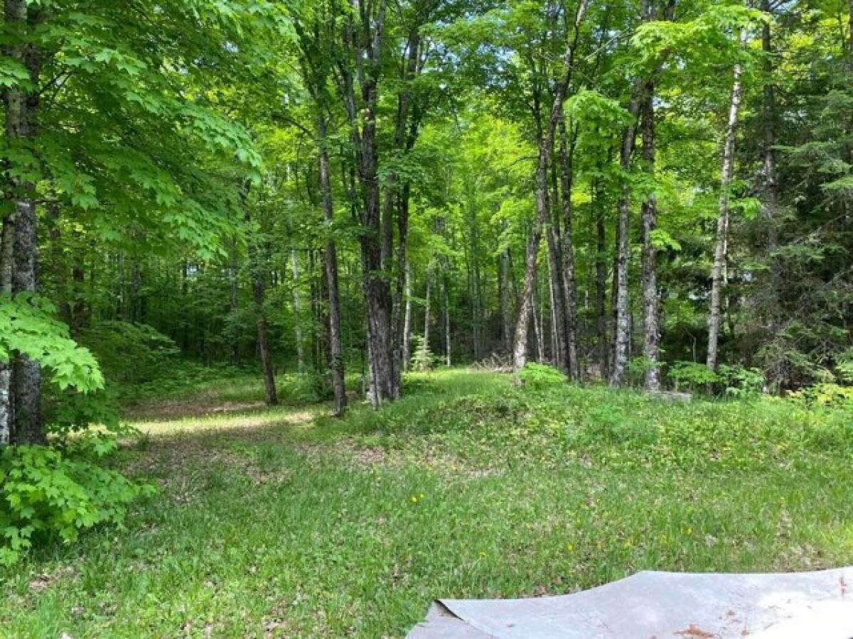 Picture of Residential Land For Sale in Marenisco, Michigan, United States