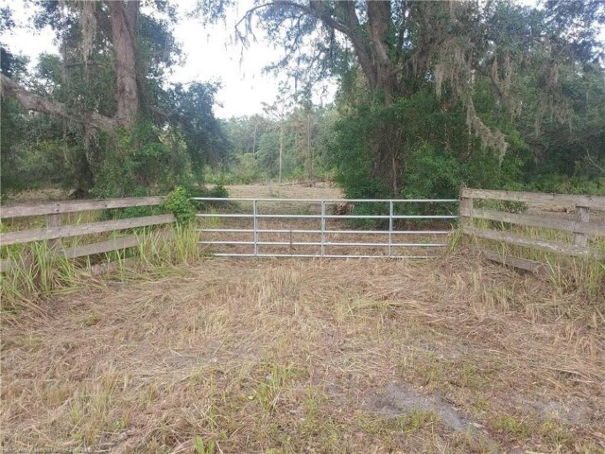 Picture of Residential Land For Sale in Zolfo Springs, Florida, United States