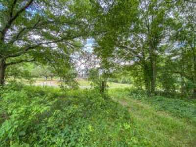 Residential Land For Sale in 