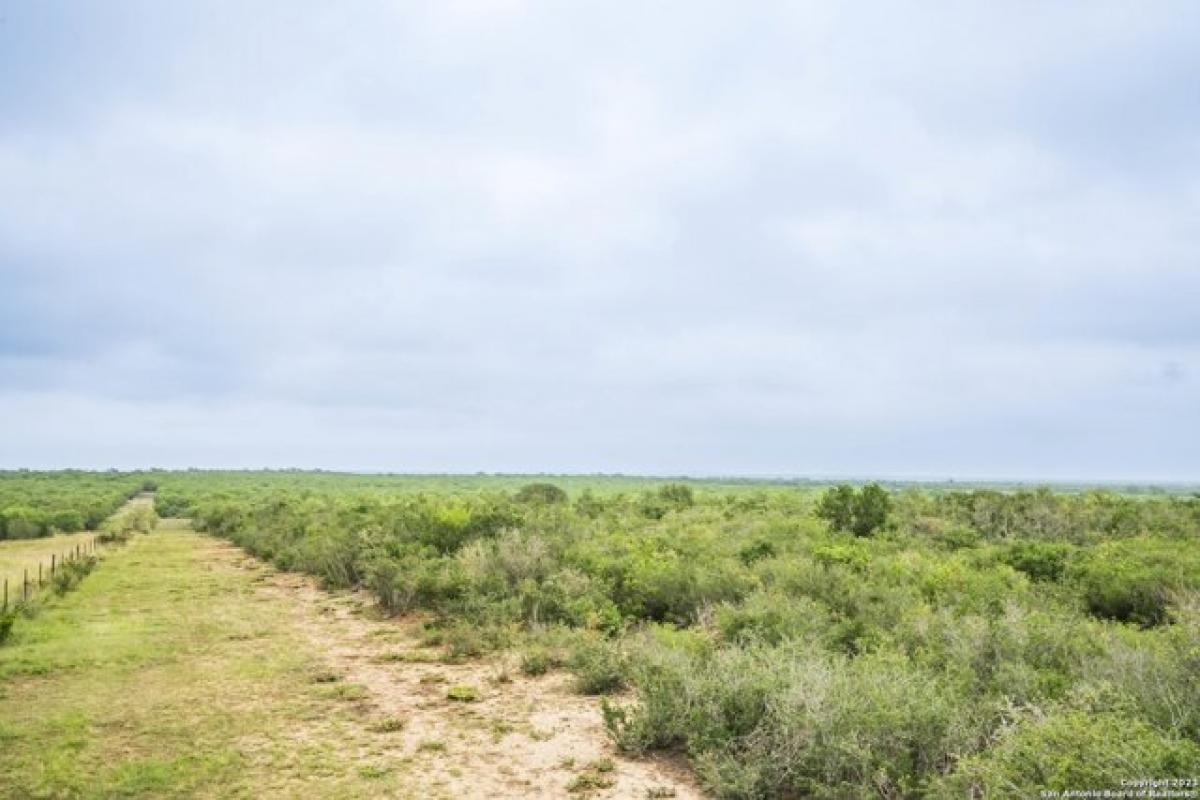 Picture of Residential Land For Sale in Pleasanton, Texas, United States