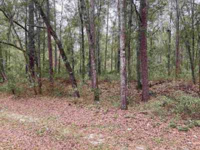 Residential Land For Sale in 