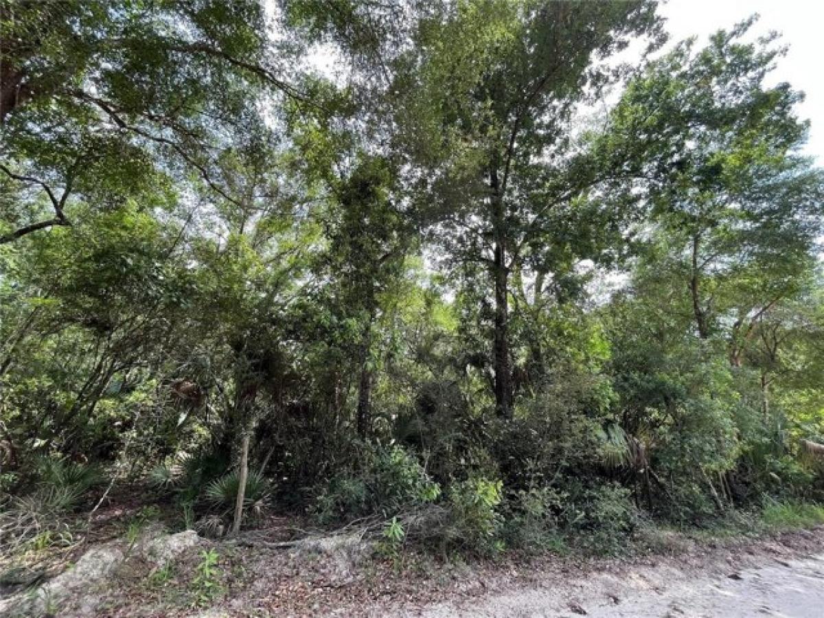 Picture of Residential Land For Sale in Chiefland, Florida, United States