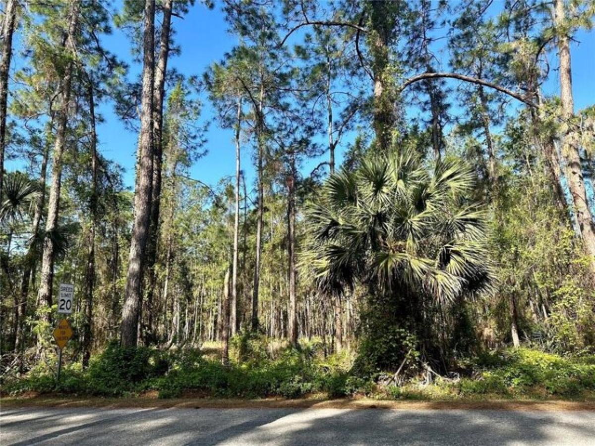 Picture of Residential Land For Sale in Debary, Florida, United States