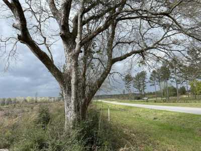 Residential Land For Sale in Defuniak Springs, Florida