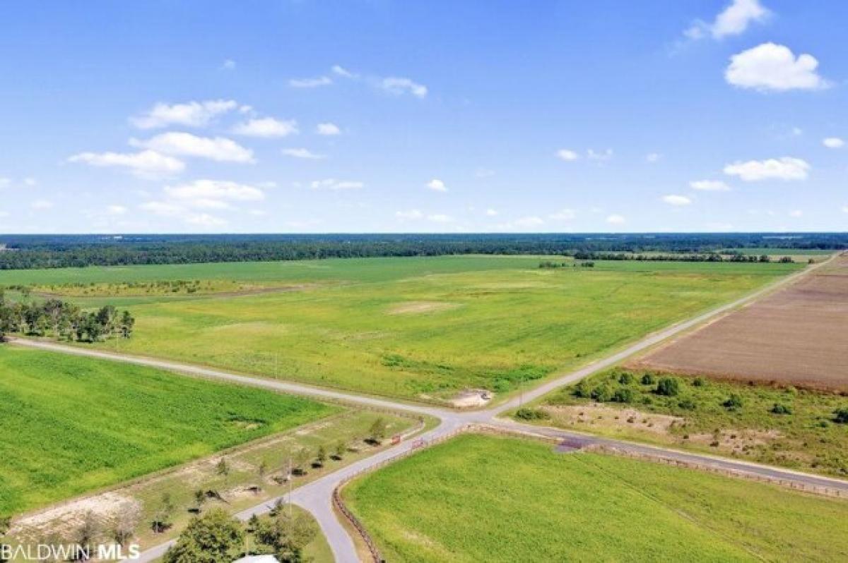 Picture of Residential Land For Sale in Foley, Alabama, United States