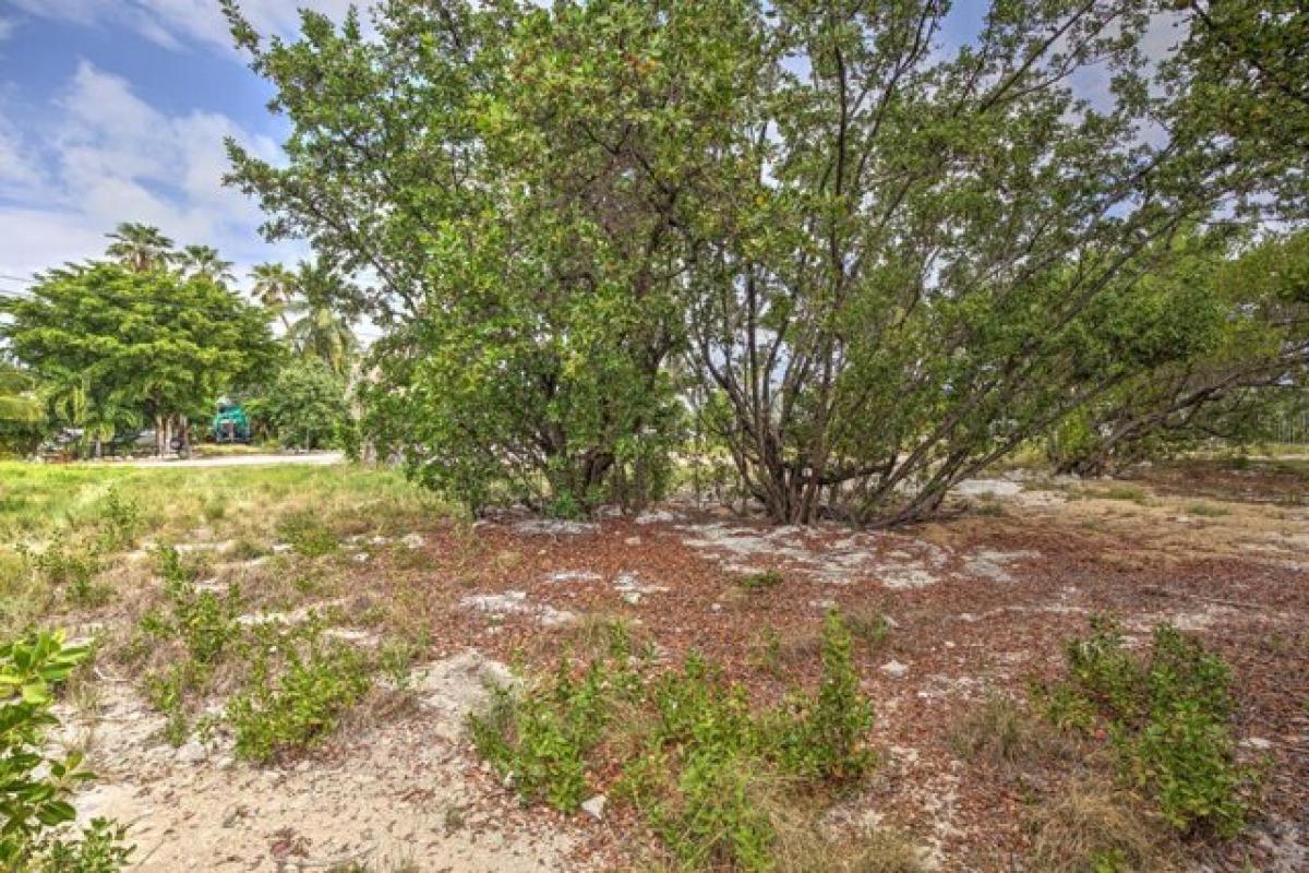 Picture of Residential Land For Sale in Marathon, Florida, United States