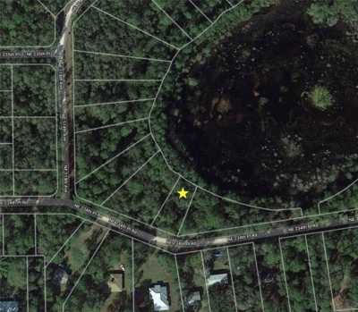 Residential Land For Sale in Fort Mccoy, Florida