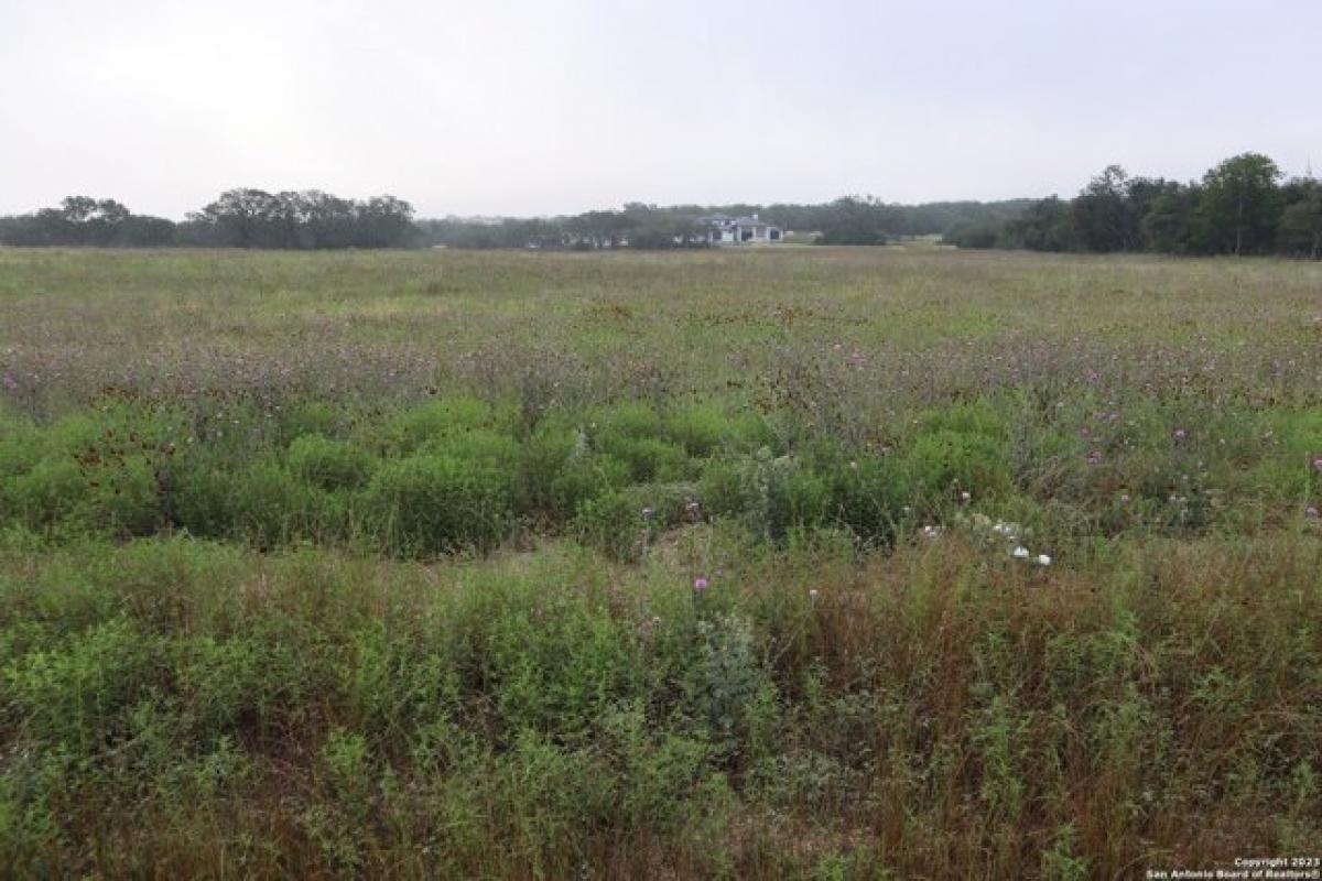 Picture of Residential Land For Sale in Bulverde, Texas, United States