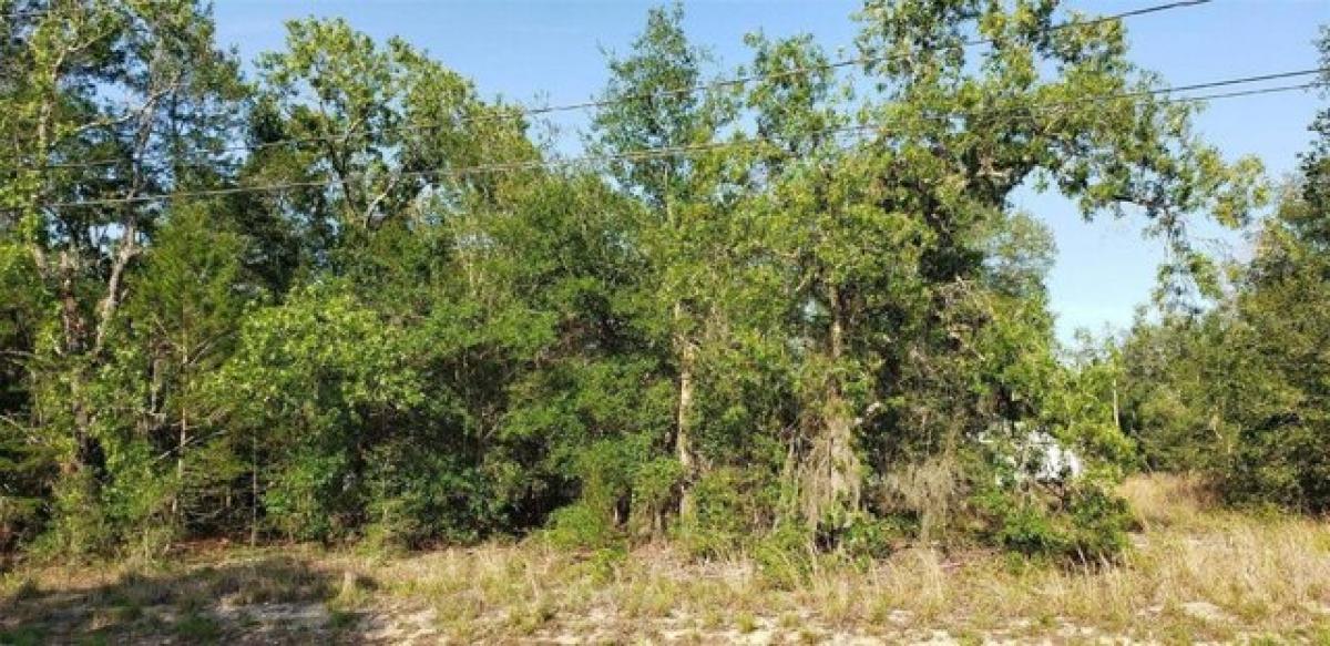 Picture of Residential Land For Sale in Summerfield, Florida, United States