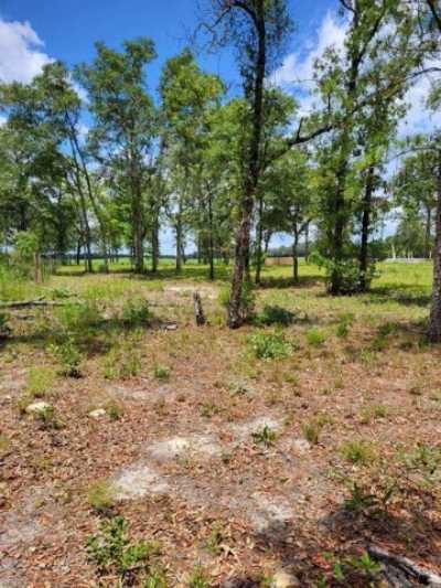 Residential Land For Sale in Morriston, Florida