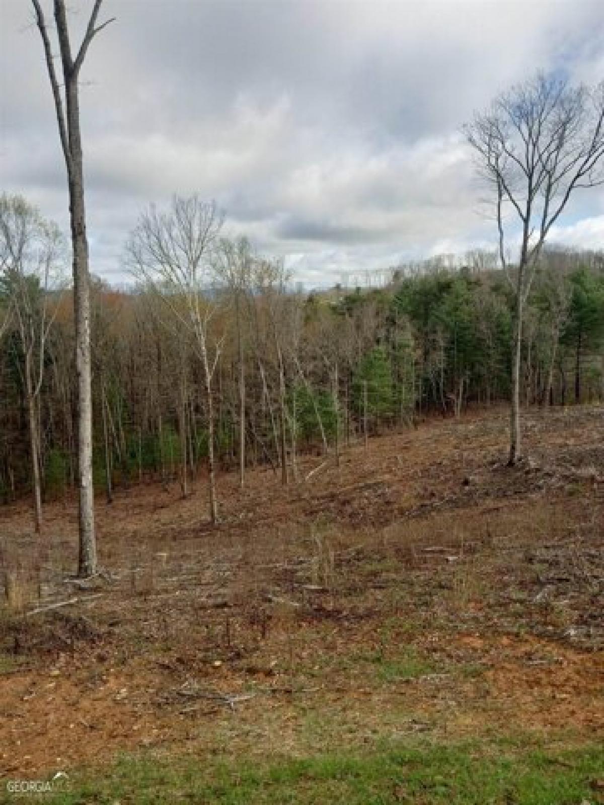 Picture of Residential Land For Sale in Talking Rock, Georgia, United States