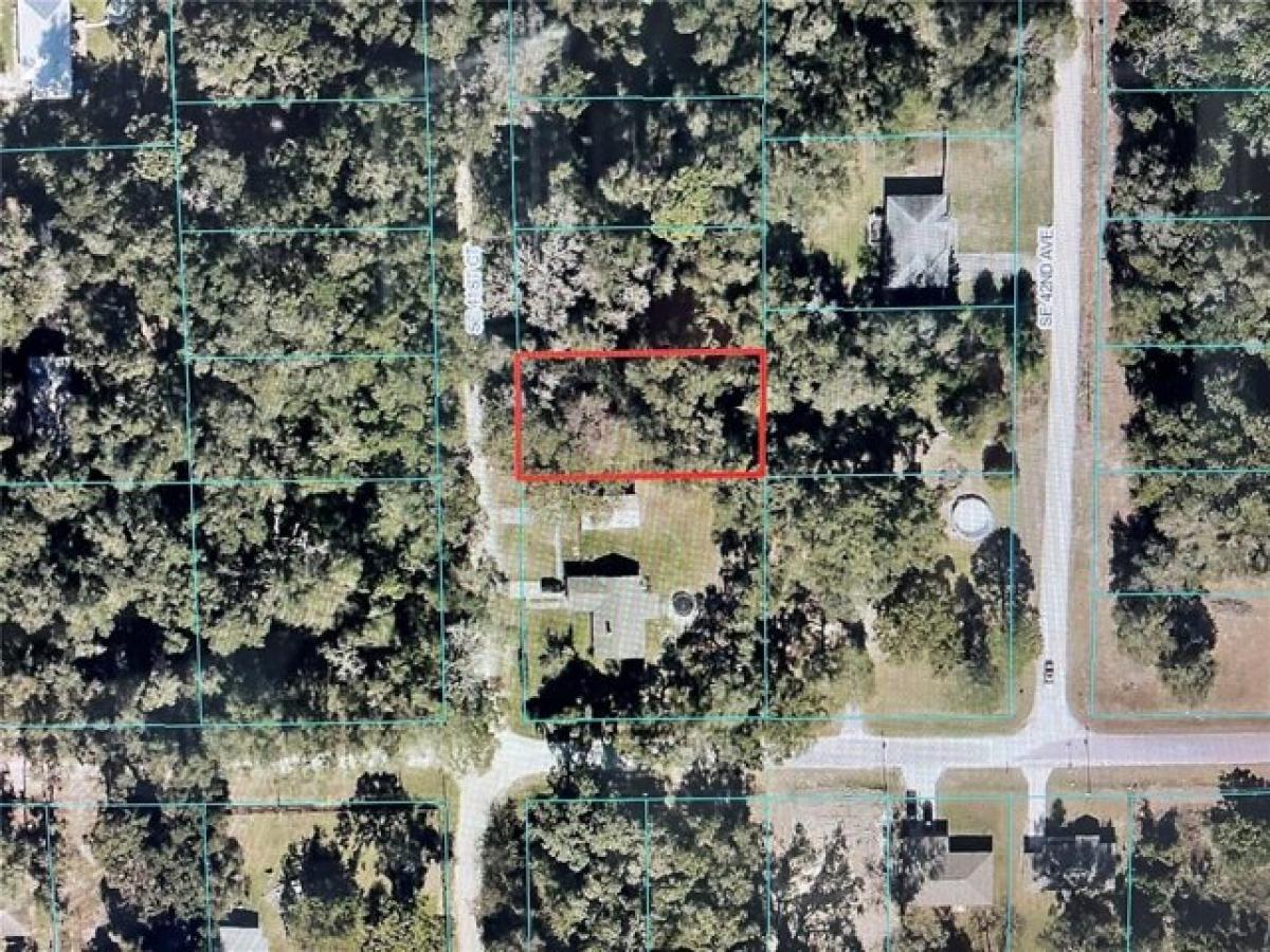 Picture of Residential Land For Sale in Belleview, Florida, United States