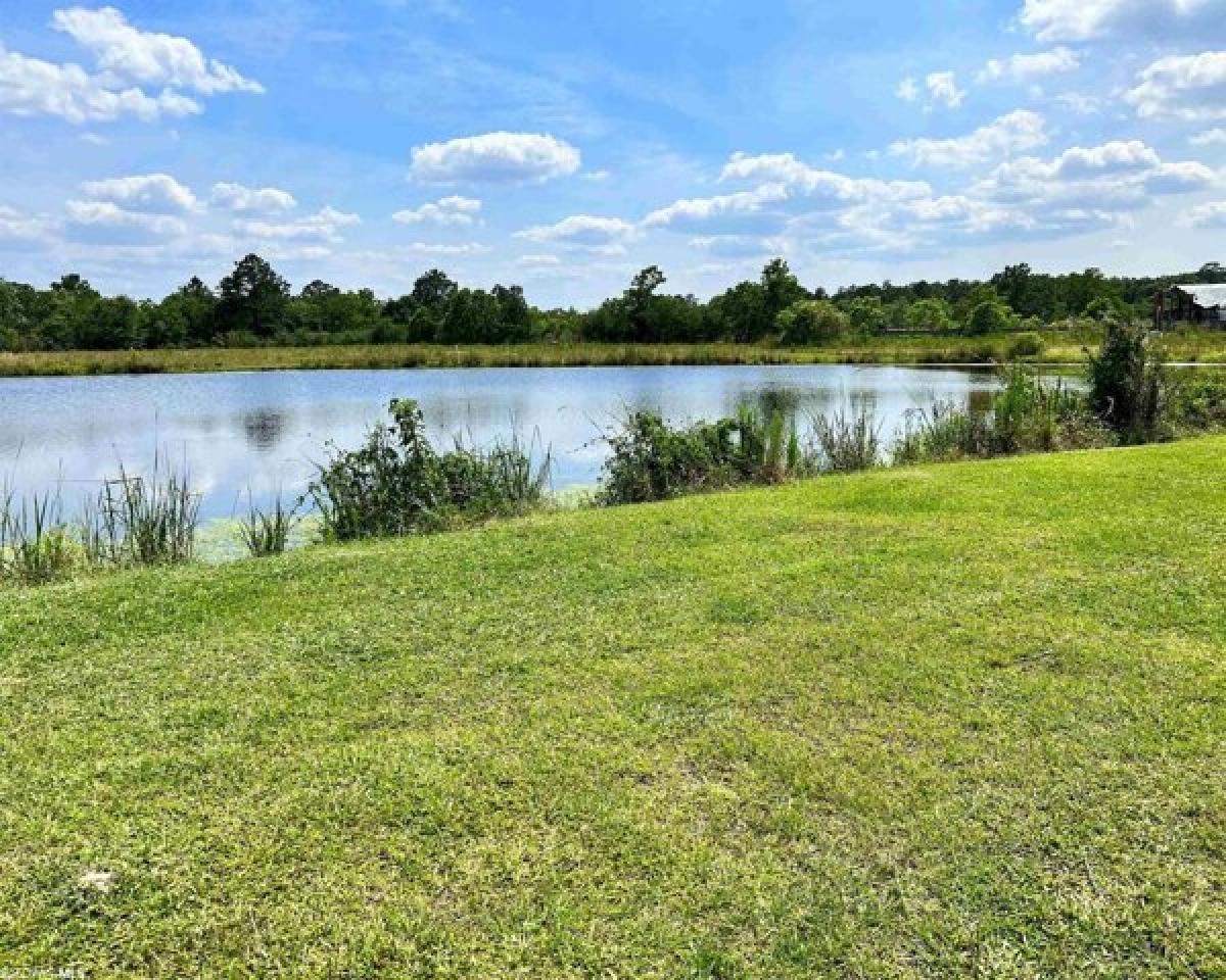 Picture of Residential Land For Sale in Robertsdale, Alabama, United States