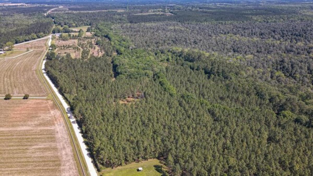 Picture of Residential Land For Sale in Defuniak Springs, Florida, United States