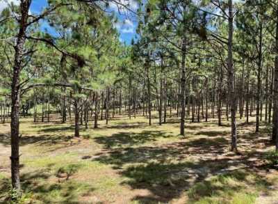 Residential Land For Sale in 