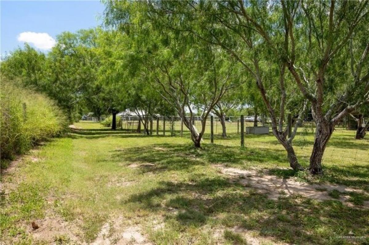 Picture of Home For Sale in Edinburg, Texas, United States